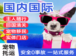 宁蒗泸沽湖航空快运国际宠物托运 【国